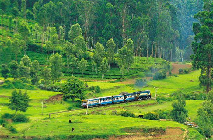 Ooty